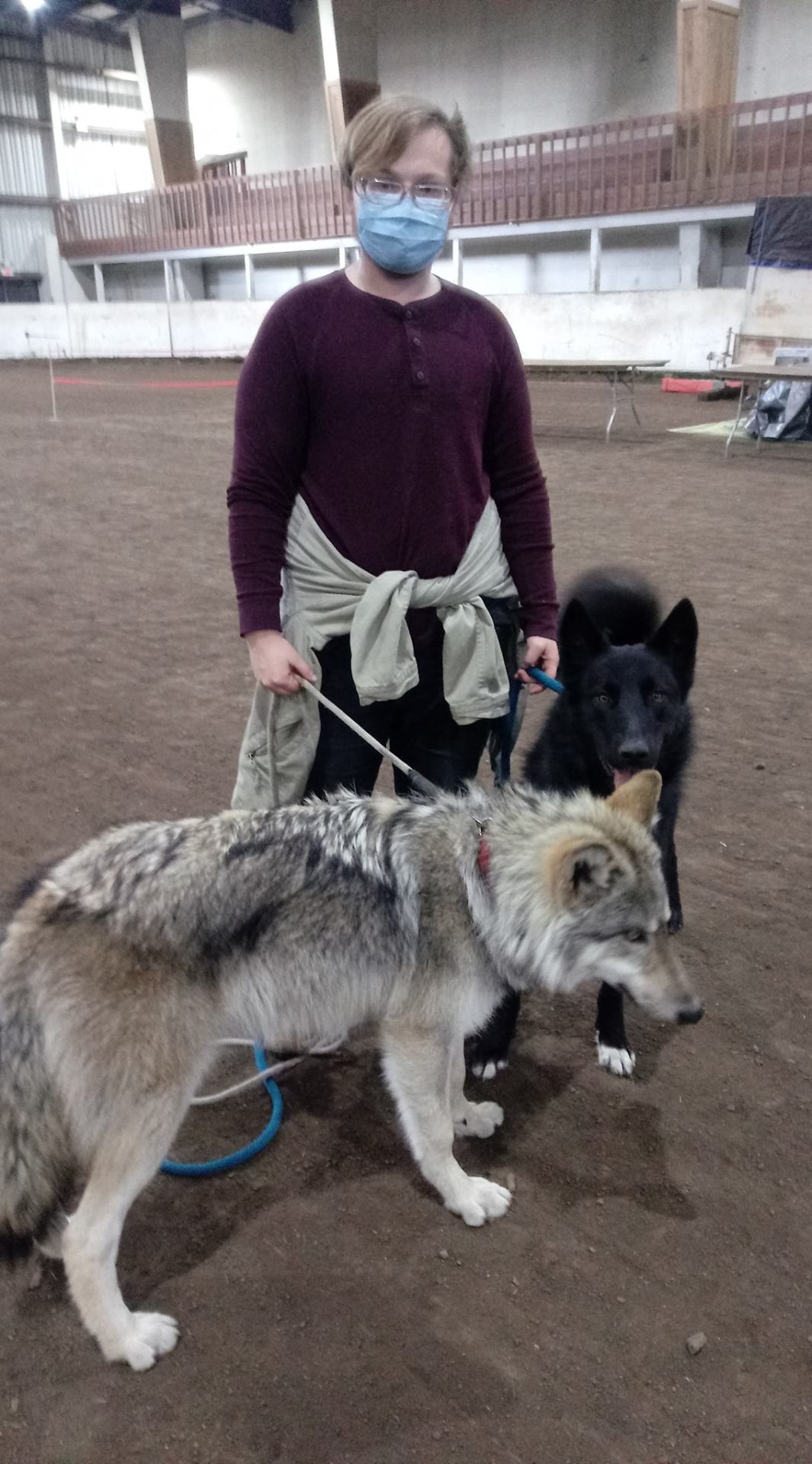 Just some wolfdog spam