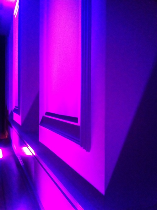 dan flavin