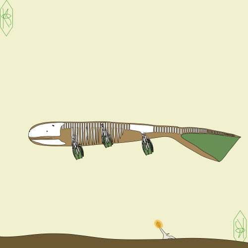 Pachyderes, More Commonly Called A Neckless Filterfeeder, Are Medium Sized Ichthyongiu, They Are The