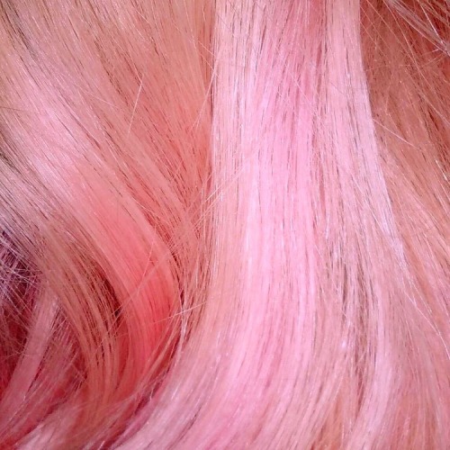 venusflytrash: @purlty sent me this pic of @faeryem ‘s prettyyy hair <3