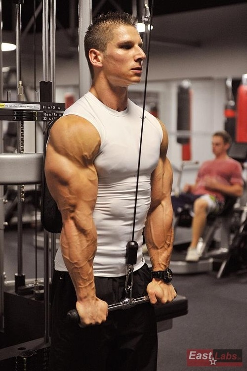 + Muscles