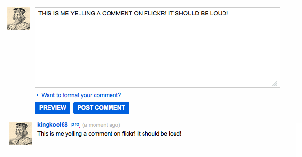 Flickr - When you enter a comment on in all caps, the comment is posted with proper capitalization.
/via Russell Heimlich