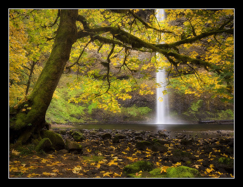 Autumn Falls by Ryan Dyar on Flickr.