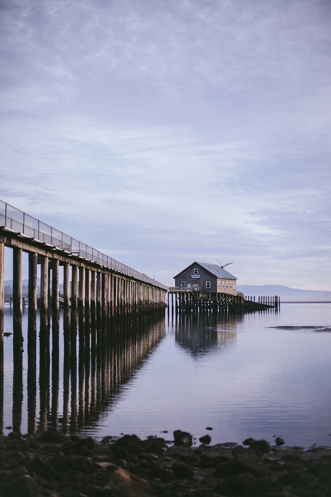valscrapbook:   	Cape Cod Photography Workshop + A Clamming Guide by Eva Kosmas Flores