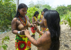 Panama, Darien Province, Bajo Chiquito, Women Of The Native Indian Embera Tribe,