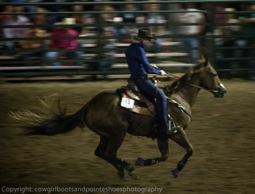 county fair