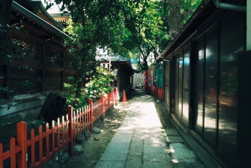 2017.5.2 下谷神社