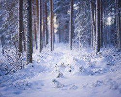 sitoutside:Luminen polku  by  Janne.  
