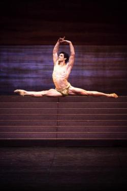 emeritusblog:  Roberto Bolle La Scala Ballet