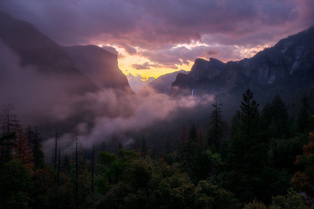 te5seract:     Awakening &amp;  Redemption  by Sapna Reddy Photography