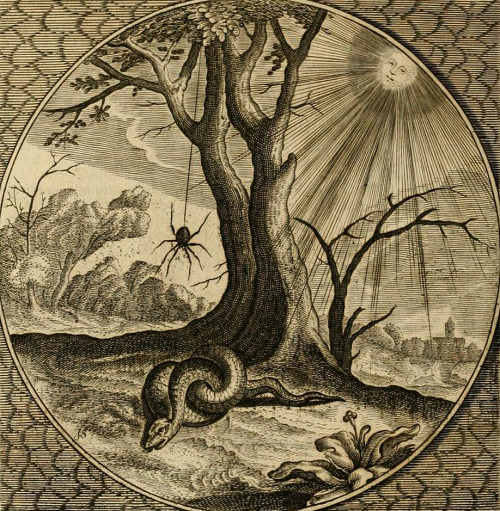 the-cinder-fields: illustration from The 52 emblems of the Proteus, by J. Swelinck, 1627