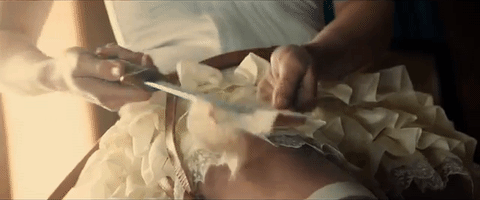 littleingenue: pride &amp; prejudice &amp; zombies aesthetic goals 