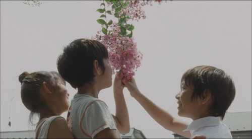 365filmsbyauroranocte:  Still Walking (Hirokazu Koreeda, 2008)  