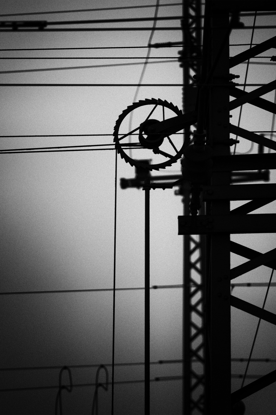 fiore-rosso:  wheels in the sky. 