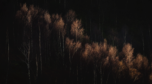 sad-house-of-mortality:Mark Littlejohn - Late Light Place Fell
