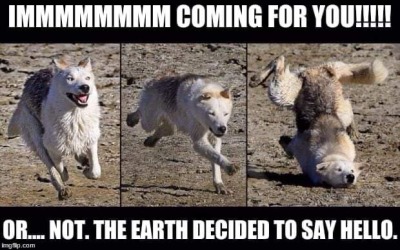 silvergryphon:tokenofmydevotion:feral-flower-child:feral-flower-child:feral-flower-child:callingallcars:callingallcars:everyone’s debating posts of the decade, best and worst, and i have yet to see anyone mention moon moonfor those who were not on here