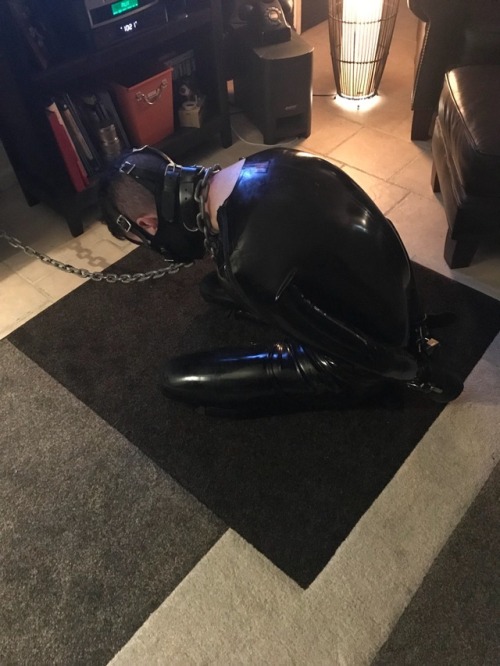 sdspitbull:Gimp Netflix. Dinner and a movie 😈
