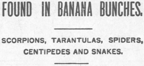 yesterdaysprint: Arkansas City Daily Traveler, Kansas, October 25, 1892