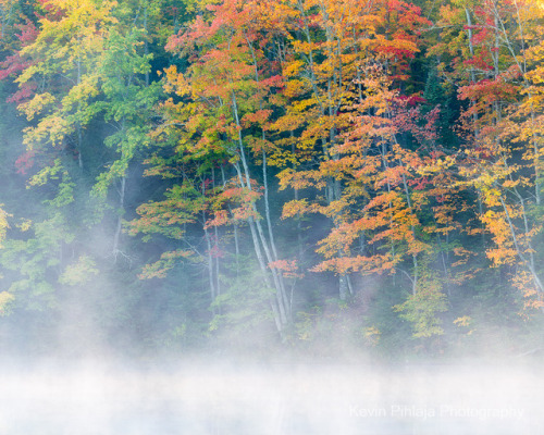 Misty Fall Colors.