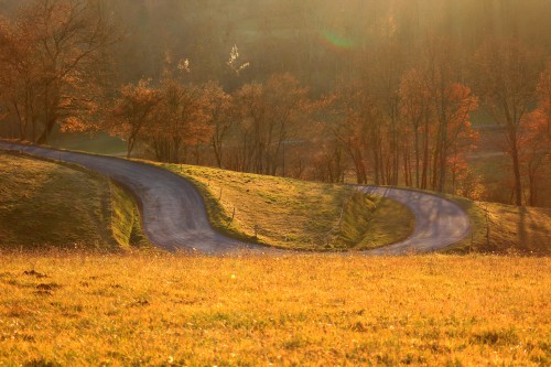 liliancazabet:“ Road of sunset ”Cassagne, Occitanie, France.