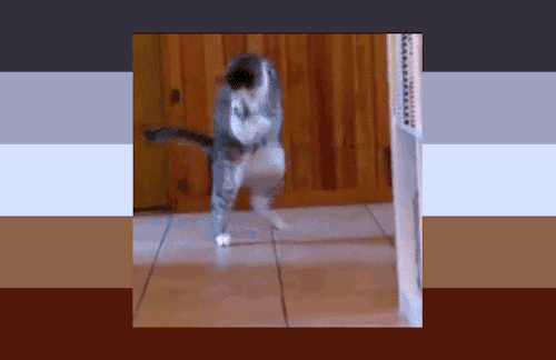 nentindo:holyflamingo:nentindo:Hecookinsexual: sexual attraction to a partner only when HE COOKINHee