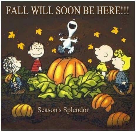 charliebrown101:Season Splendor Its Fall