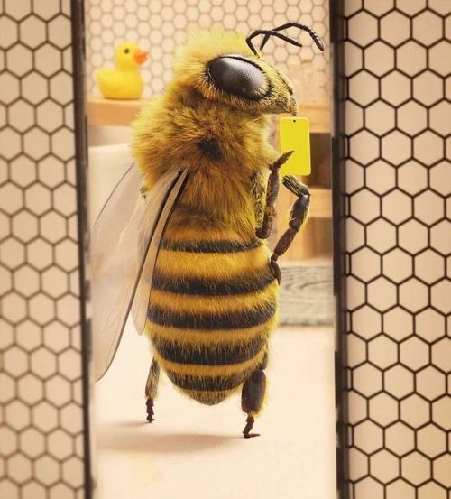 jaubaius:  Let it Bee
