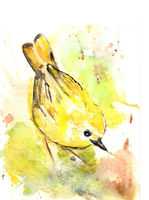 Yellow Canary Watercolor Painting //BrennaStudio