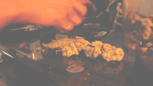 theixxixx:  pattyeffinmayo choppin n rollin. [x]