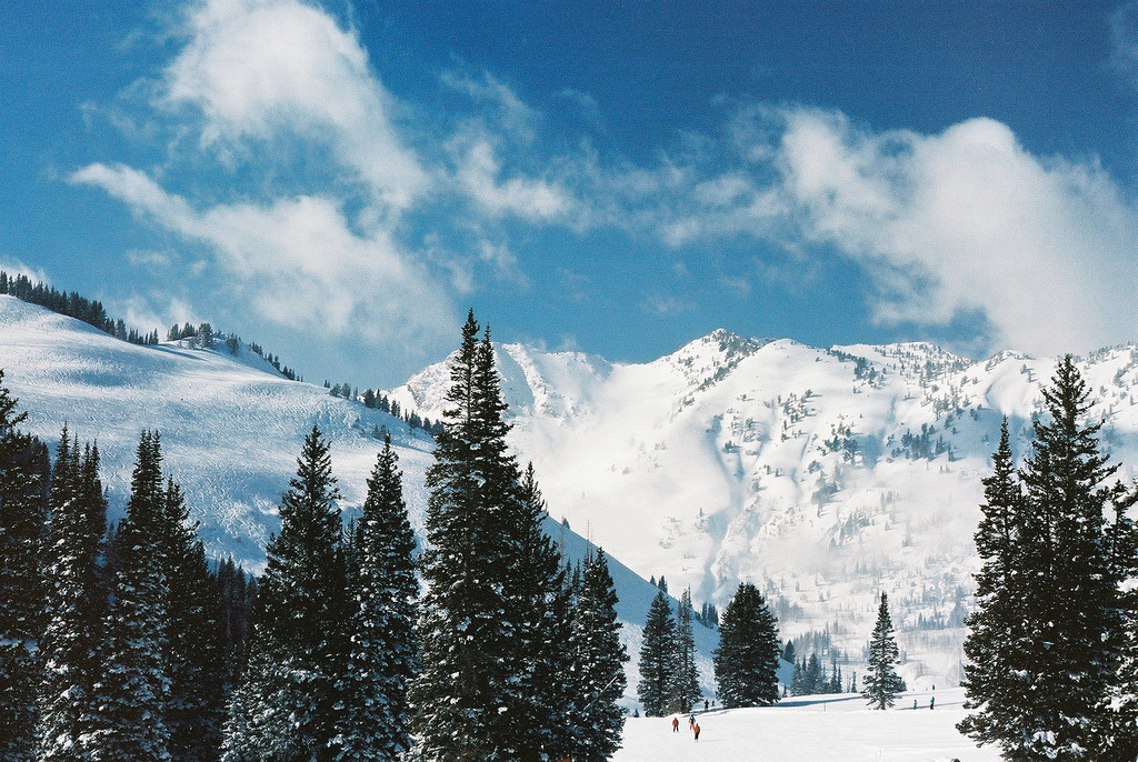 englishsnow:  { Utah }