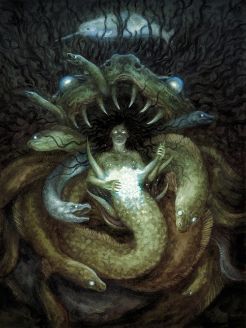 THE QUEEN OF EELS by Jana Heidersdorf