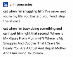 dualclock:explorerrowan:unyanizedcatboys:shydestinybread:manicgoblinnightmarewoman:cryoverkiltmilk:froody:Me: *Removes my cat from my lap to do something else.*My cat: Father is…evil? Father is unyielding? Father is incapable of love? I am running