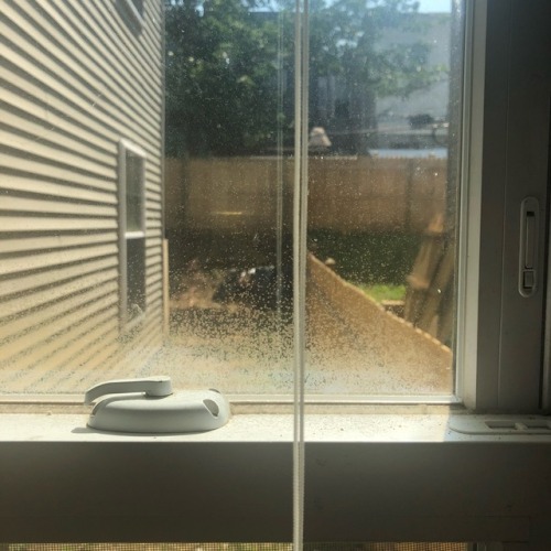 The Grass Is Greener On The Other Side There’s Bags Of Trash And Watered Dirt On My Side