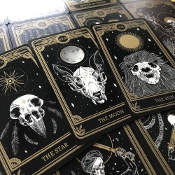 musterni-illustrates: The Marigold Tarot by Amrit Brar. shop | instagram 