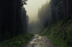 90377:    Mist in the Alps by Jerdess  