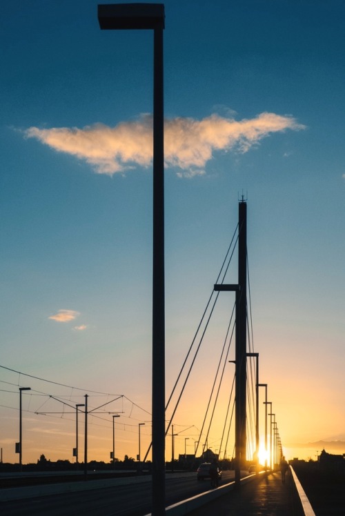 Oberkasseler Brücke