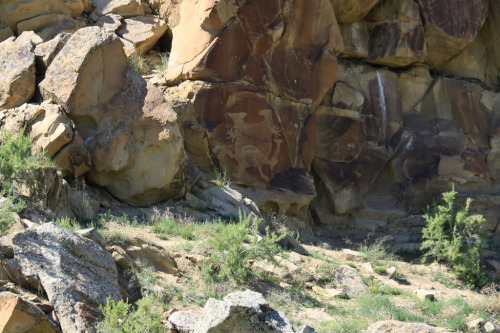 ancientart:Native American petroglyphs at Hot Springs County, Wyoming, USA.Archaeolog