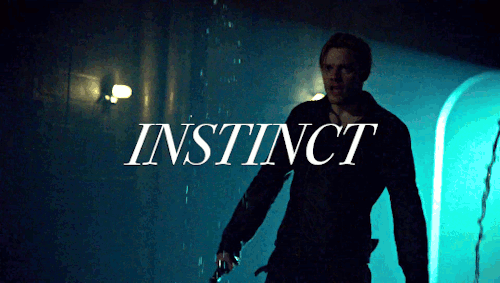 The Lightwoods Siblings & Their Favored Survival Tactic