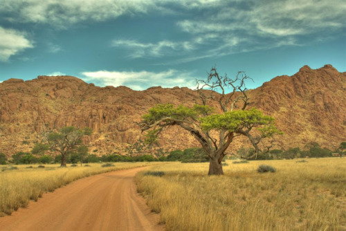 bigclitblackwomen:  africa-makanaka:  stories-yet-to-be-written:  Beautiful Photos Of Africa  http://africa-makanaka.tumblr.com   Tru eden