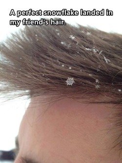 genericinternetfangirl:  And your friend’s hair is perfect 