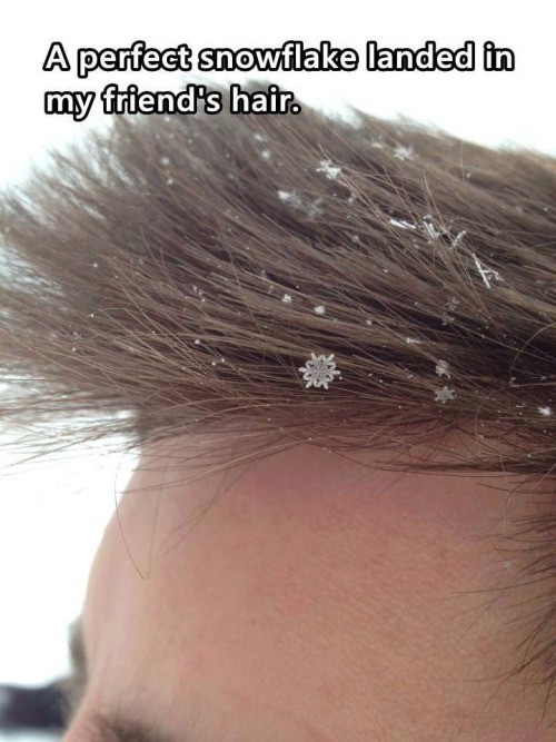 genericinternetfangirl: And your friend’s hair is perfect