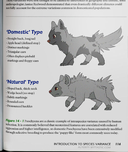 alteritynuzlocke:Scans from Brendan’s Intro to Zoology textbook.