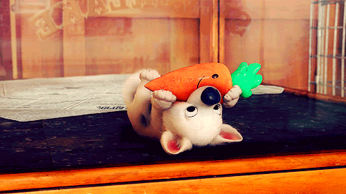 Hey, Disney Lovers!