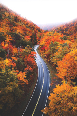 lsleofskye:  The scenic route 🍂🚙  | j_kreiss Location: Bristol, Sullivan County, Tennessee, United States 