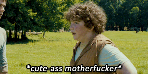kitkatminho:  The Maze Runner » A Summary