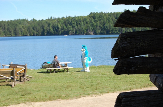 emmathepaintdragon: furrypost-generator:  Local Furry stands menacingly to man on picnic    “Throw the ball you asshole I know you still have it” 