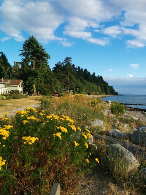 plantheaven:  i can’t even imagine what it’s like not to live by the ocean