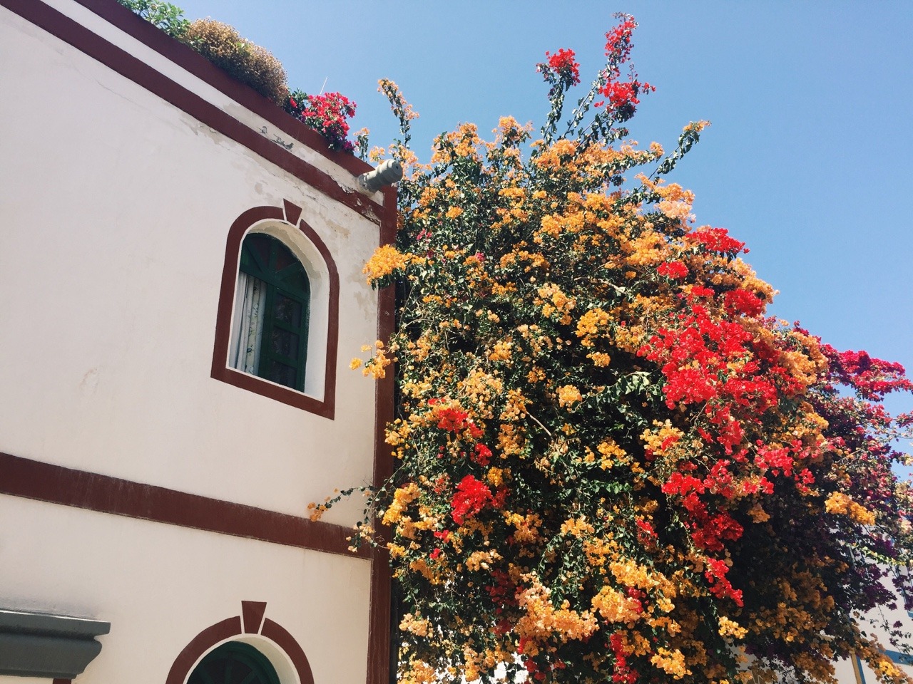 travelingcolors: Puerto de Mogán, Gran Canaria | Spain (by Nacho Coca) Follow me