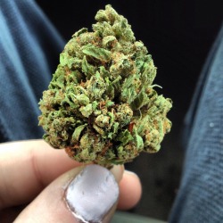 bluntsupreme:  The most beautiful picture