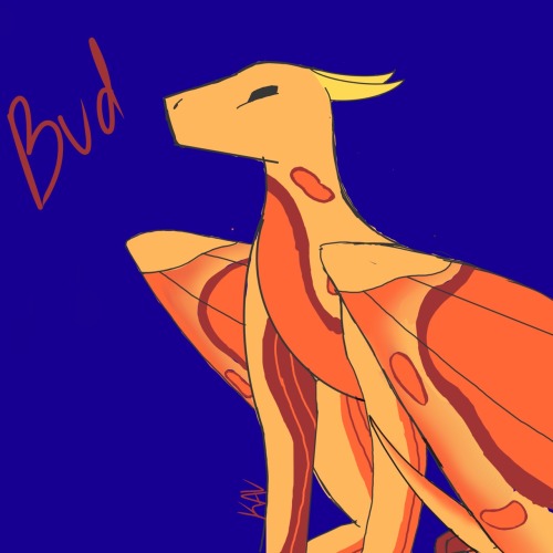 This Is Bud. First Oc I Will Post On A Social Media Thingy.